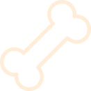 dog bone shape