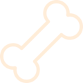 dog bone shape