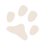 dog paw print