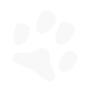 dog paw print