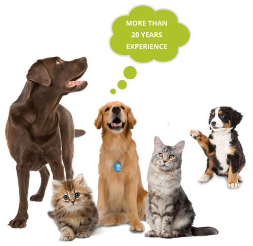 3 dogs and 2 cats