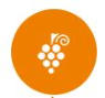 icon1