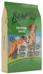 Senior Dog